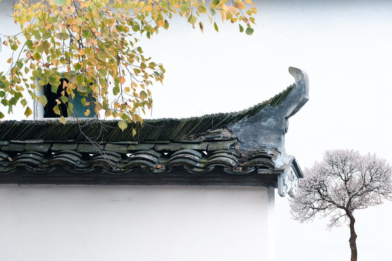 江南水乡古镇昆山周庄 (1)