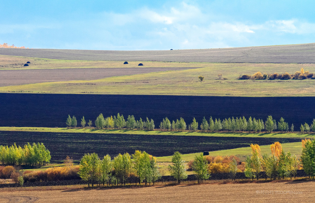 内蒙古呼伦贝尔 (3)