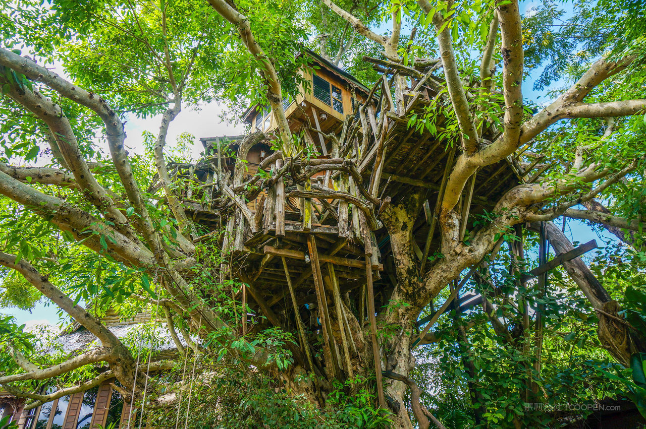 泰国清迈pai县拜县树屋