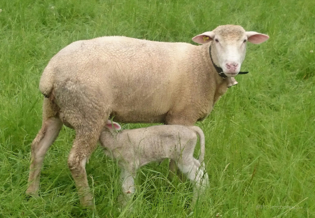 高清瑞士风景画摄影图片