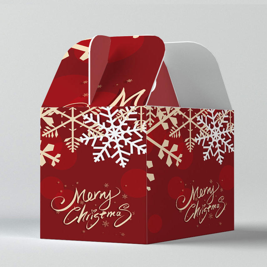 时尚大气圣诞礼盒样机