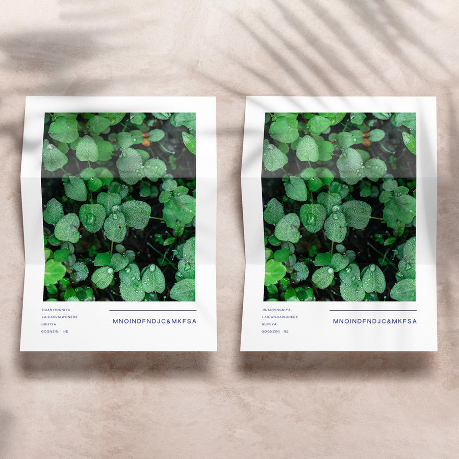 ins风大理石上光影下的折页贴图样机