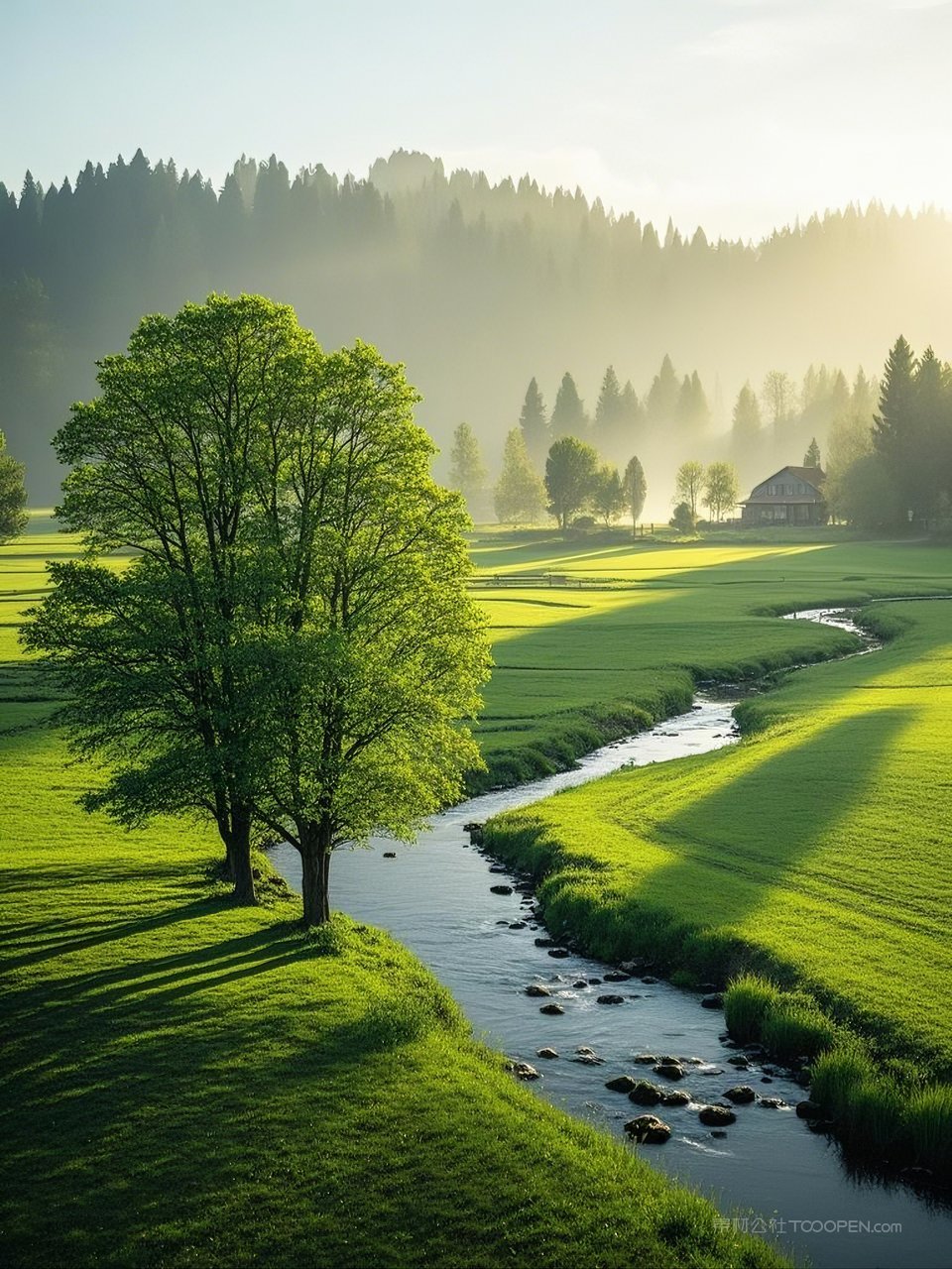 自然麦田唯美田园风光景色风景