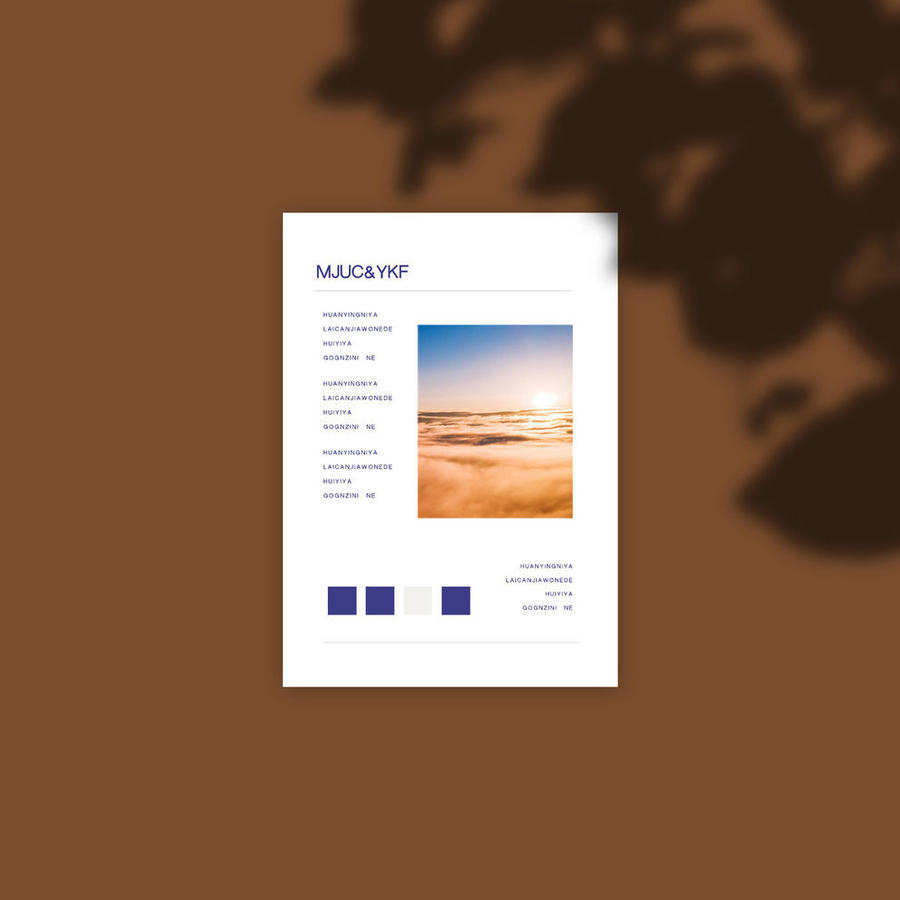 ins风棕色暖色调光影下的单页样机