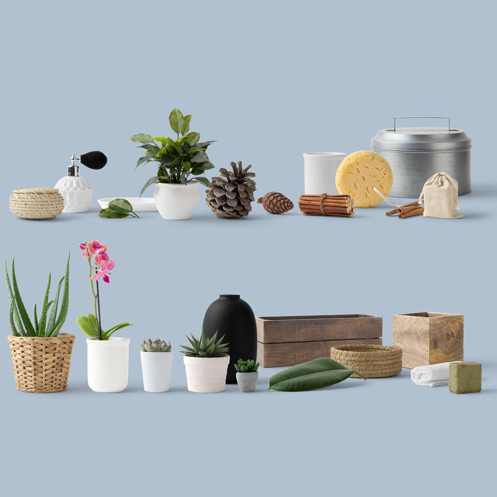 高端化妆品装饰多肉植物喷壶样机