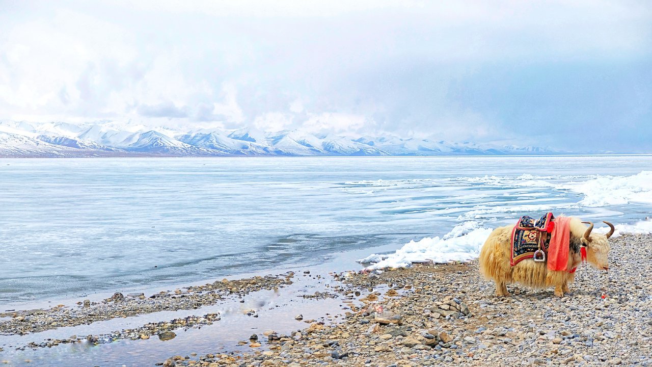 西藏风光风景画