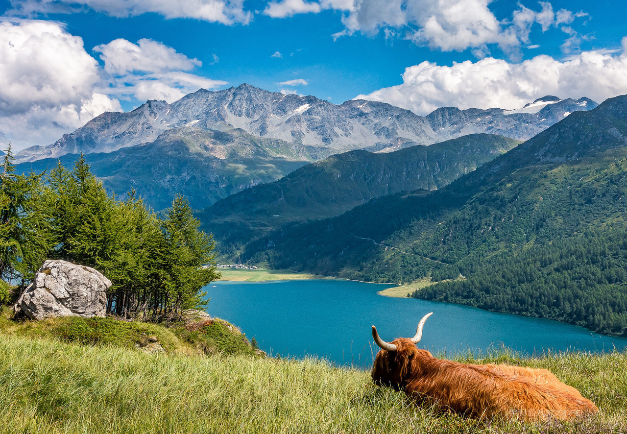 瑞士山脉山林图片