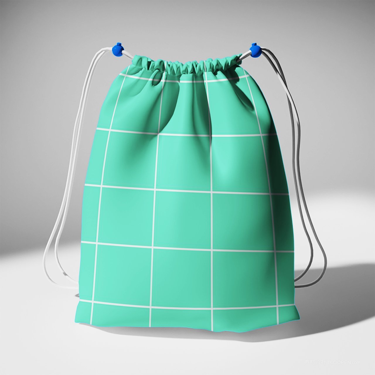 明亮的绳子袋样机