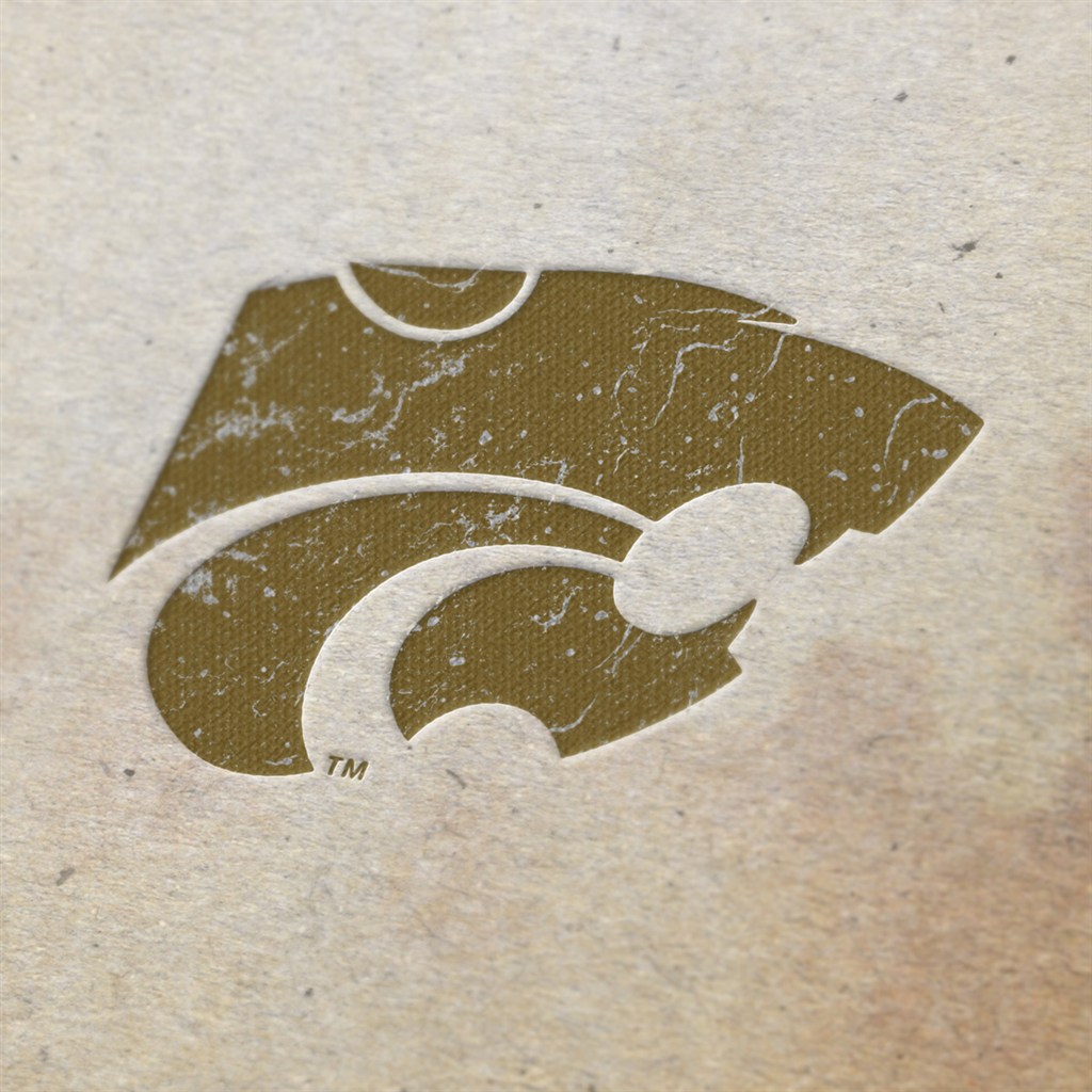 凹凸压印标志样机效果