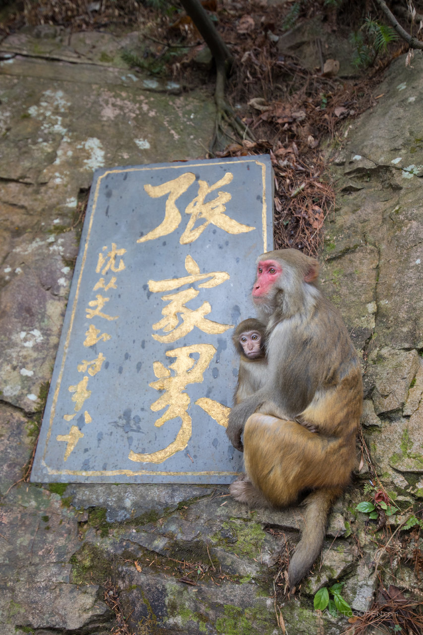 张家界旅游风景画图片