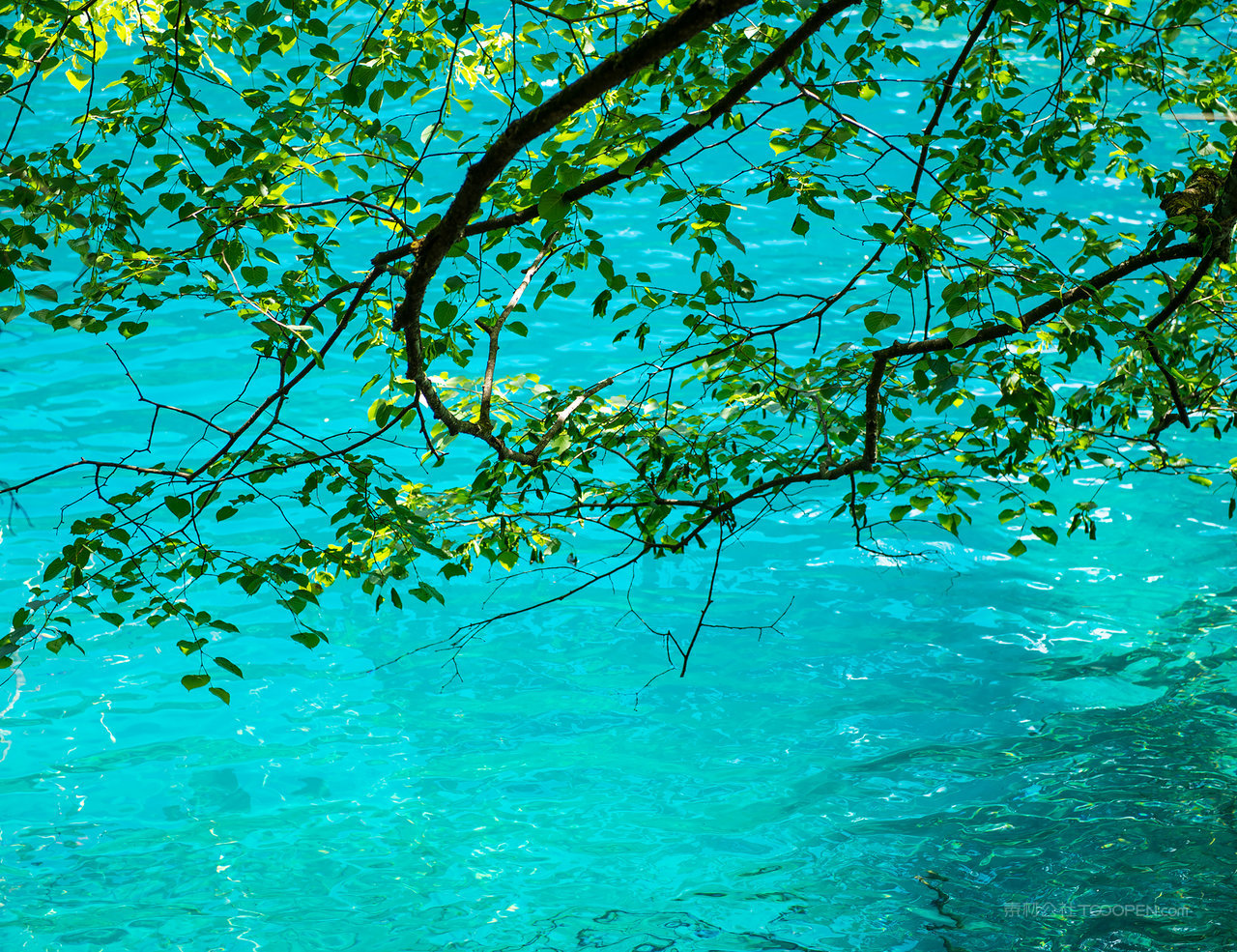 唯美四川九寨沟高清摄影图