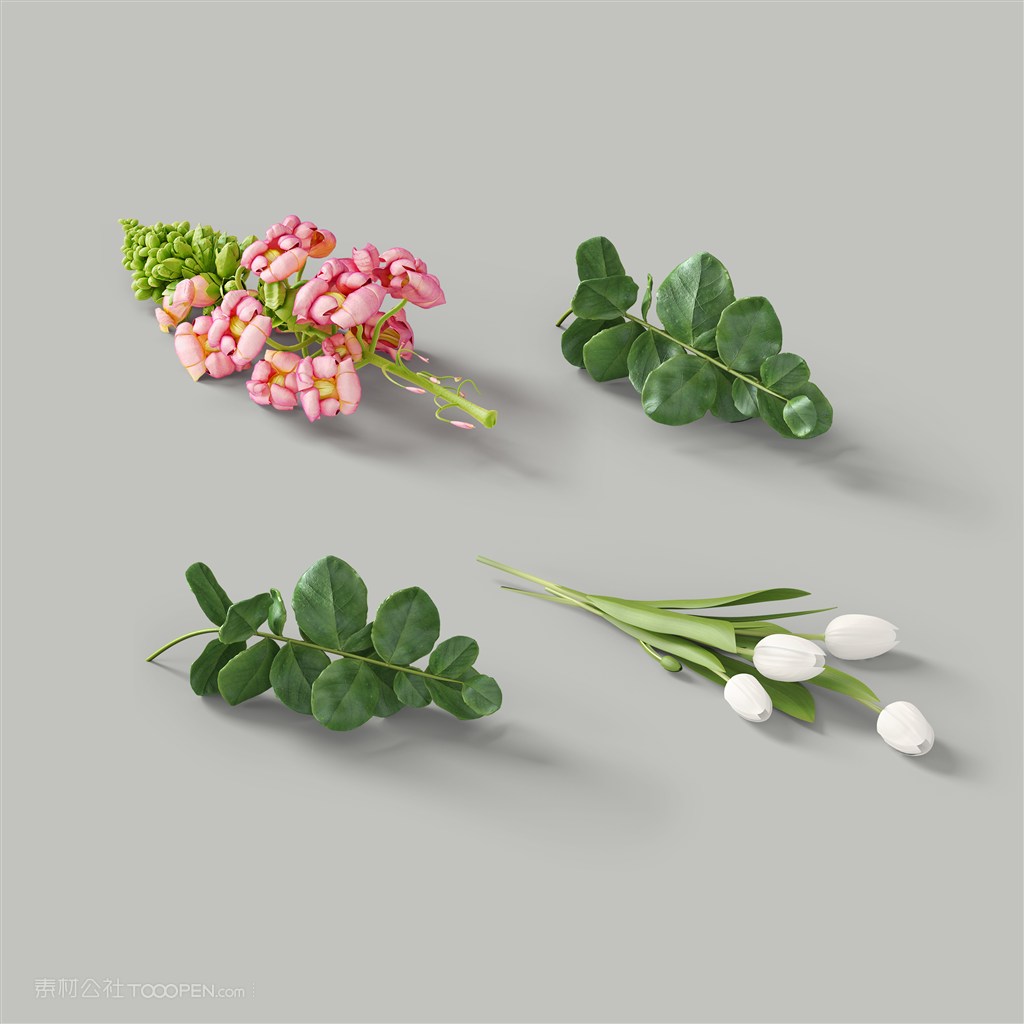 绿植鲜花树叶样机素材