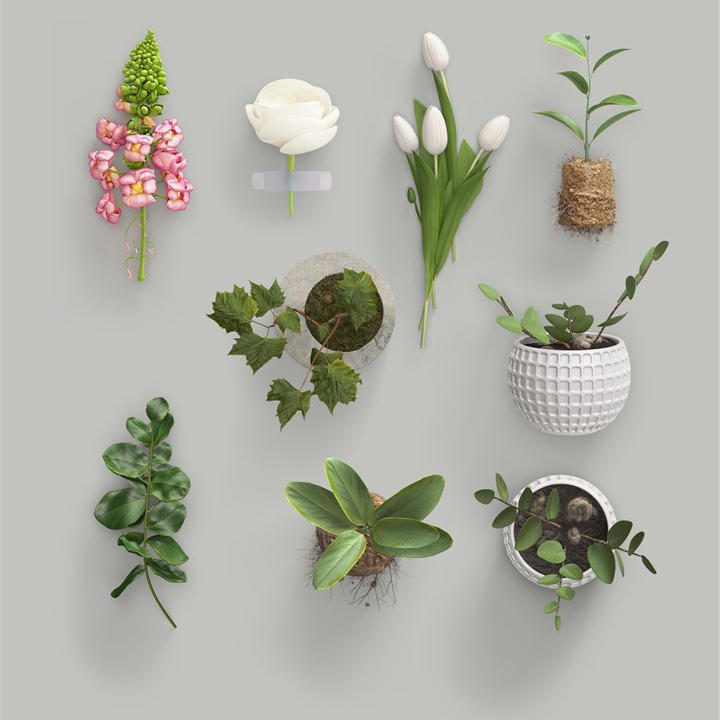 超漂亮的花朵和植物