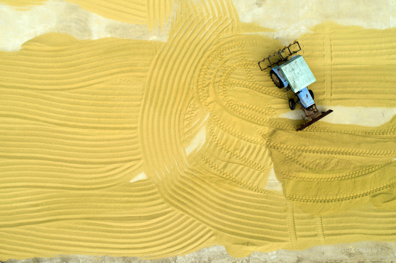 秋收画卷风景画图片