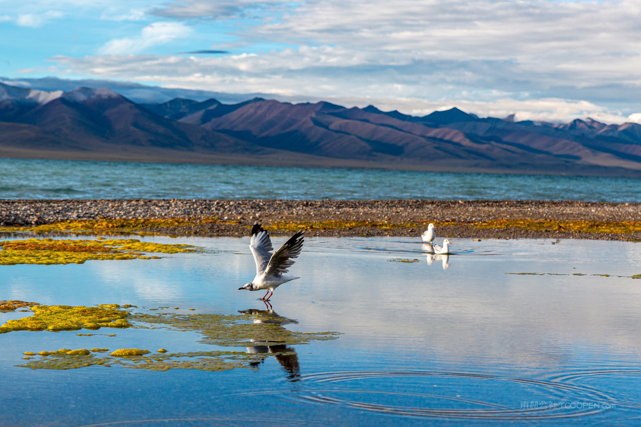 西藏风光湖泊风景画