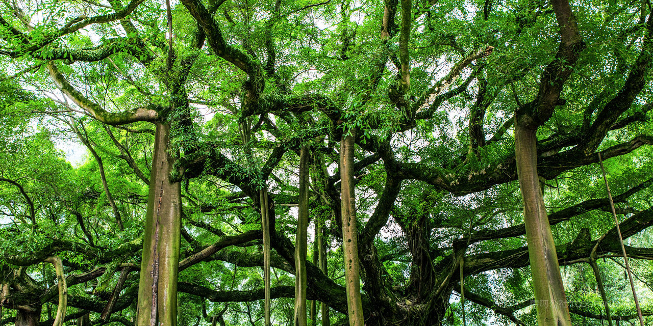 高清桂林山水风景画图片