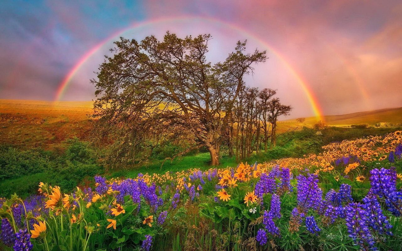 唯美彩虹风景