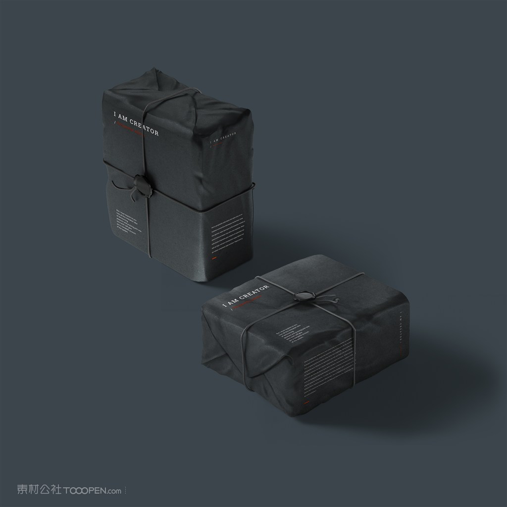 包裹样机素材