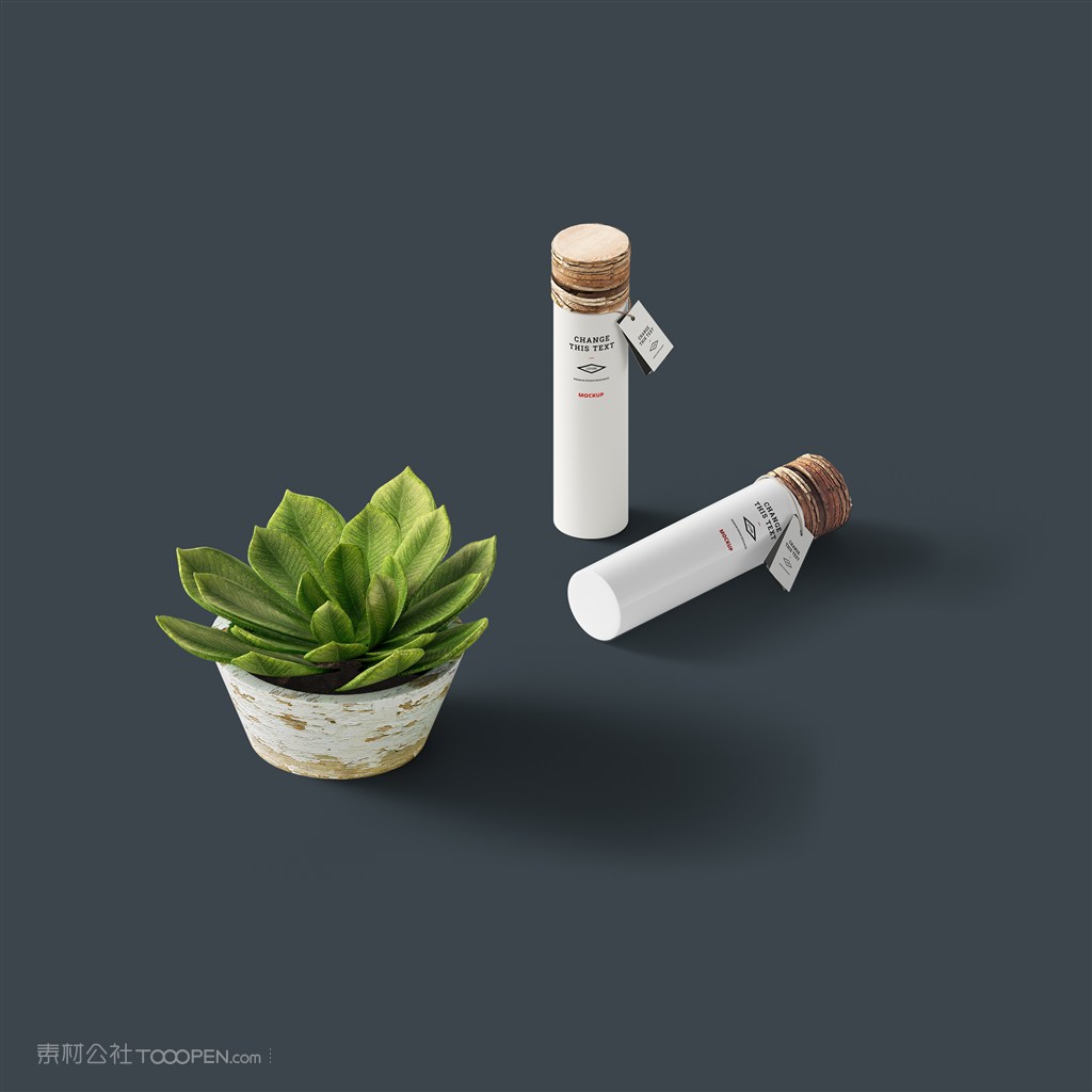 绿植瓶子样机素材