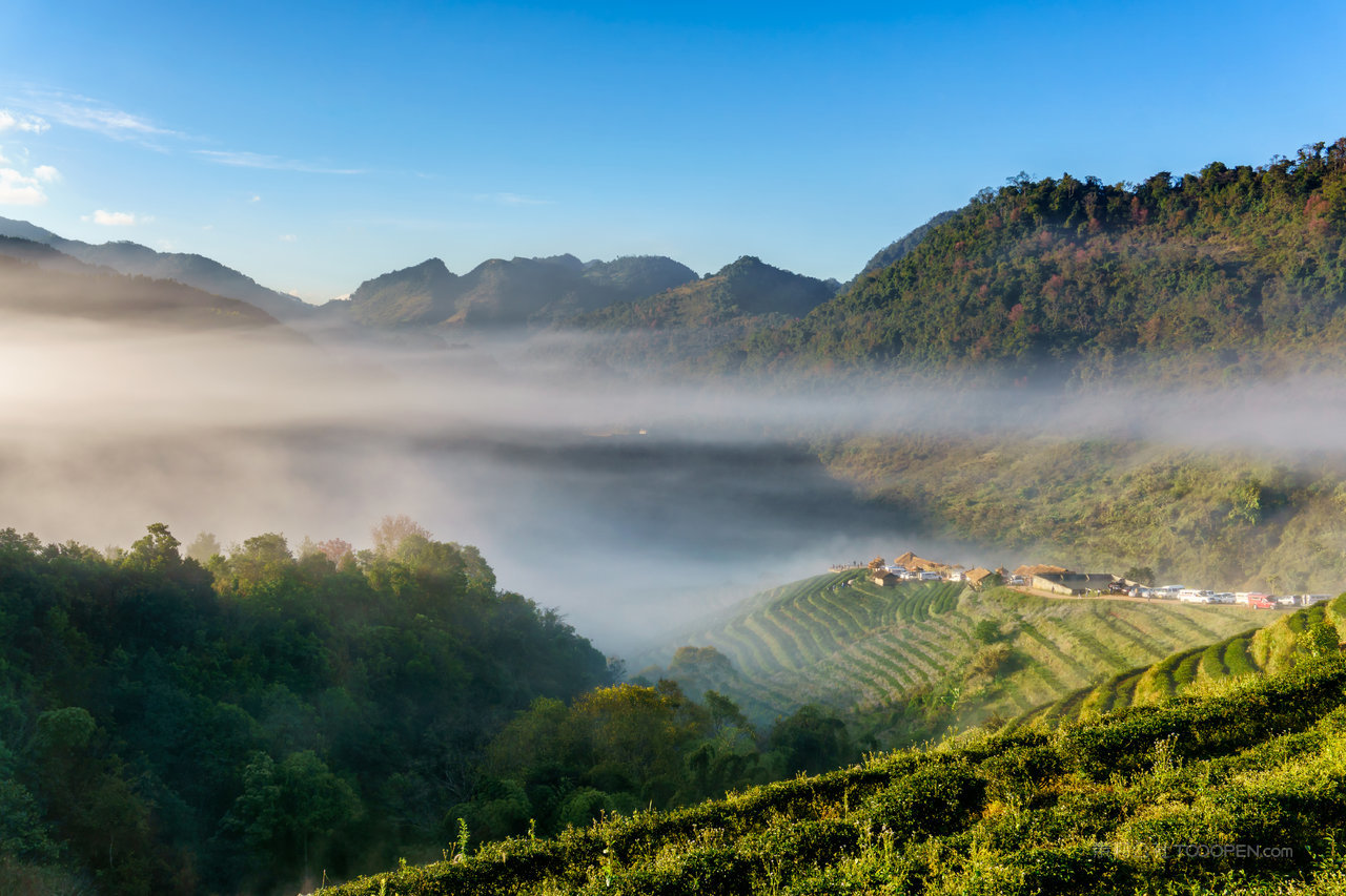茶园美丽景观在+doi+在进山，清迈，泰国著名的旅游胜地