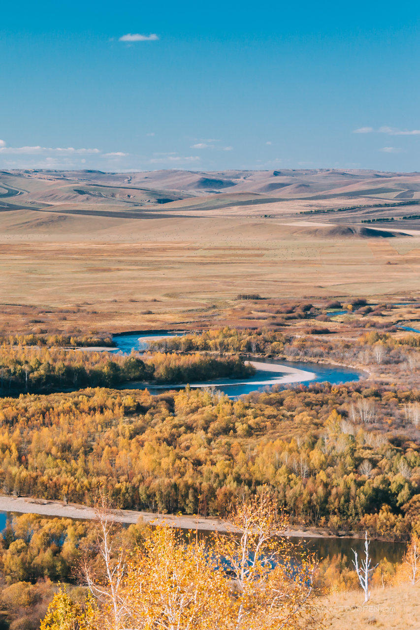 内蒙古呼伦贝尔河根河湿地