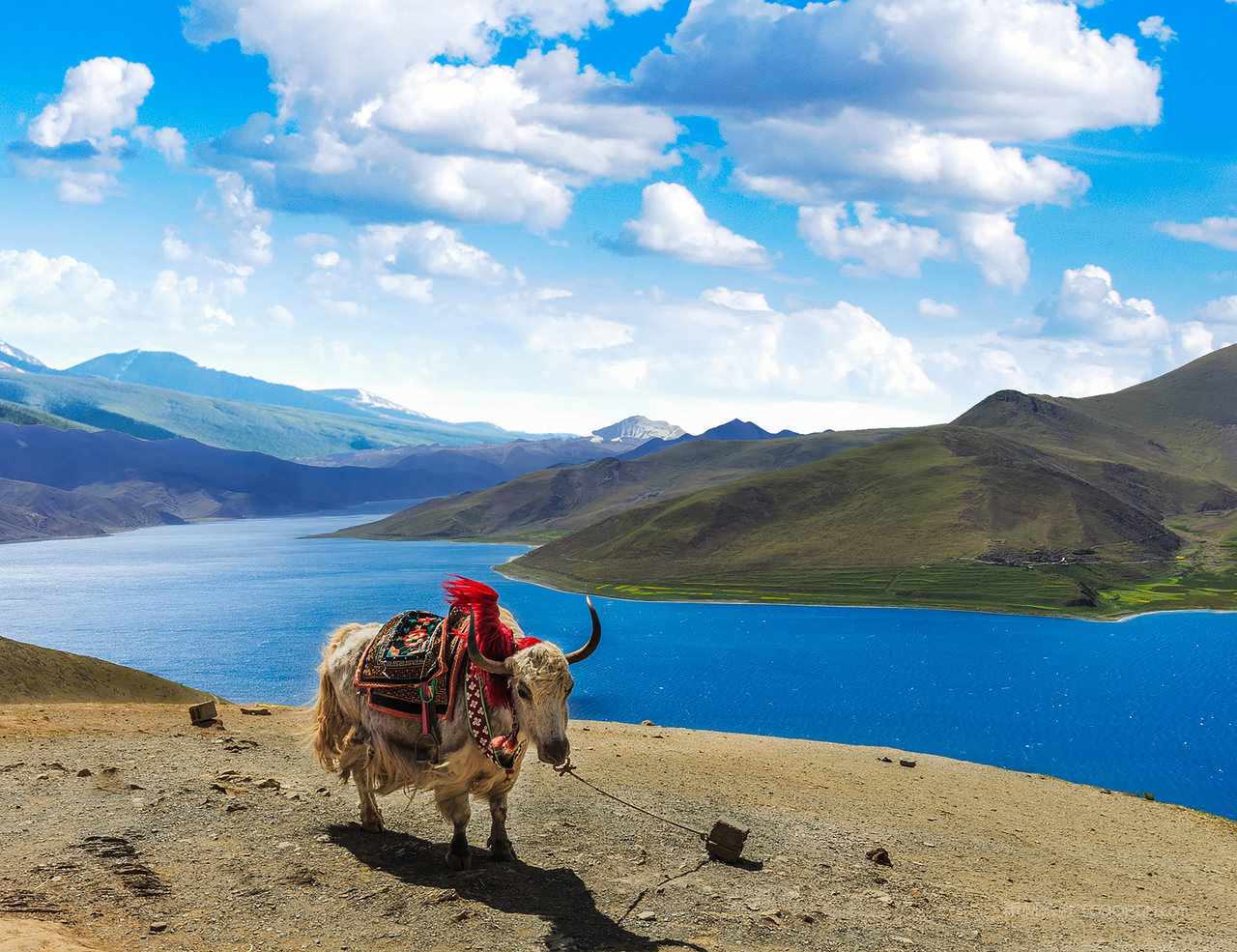 西藏西藏-天堂以上