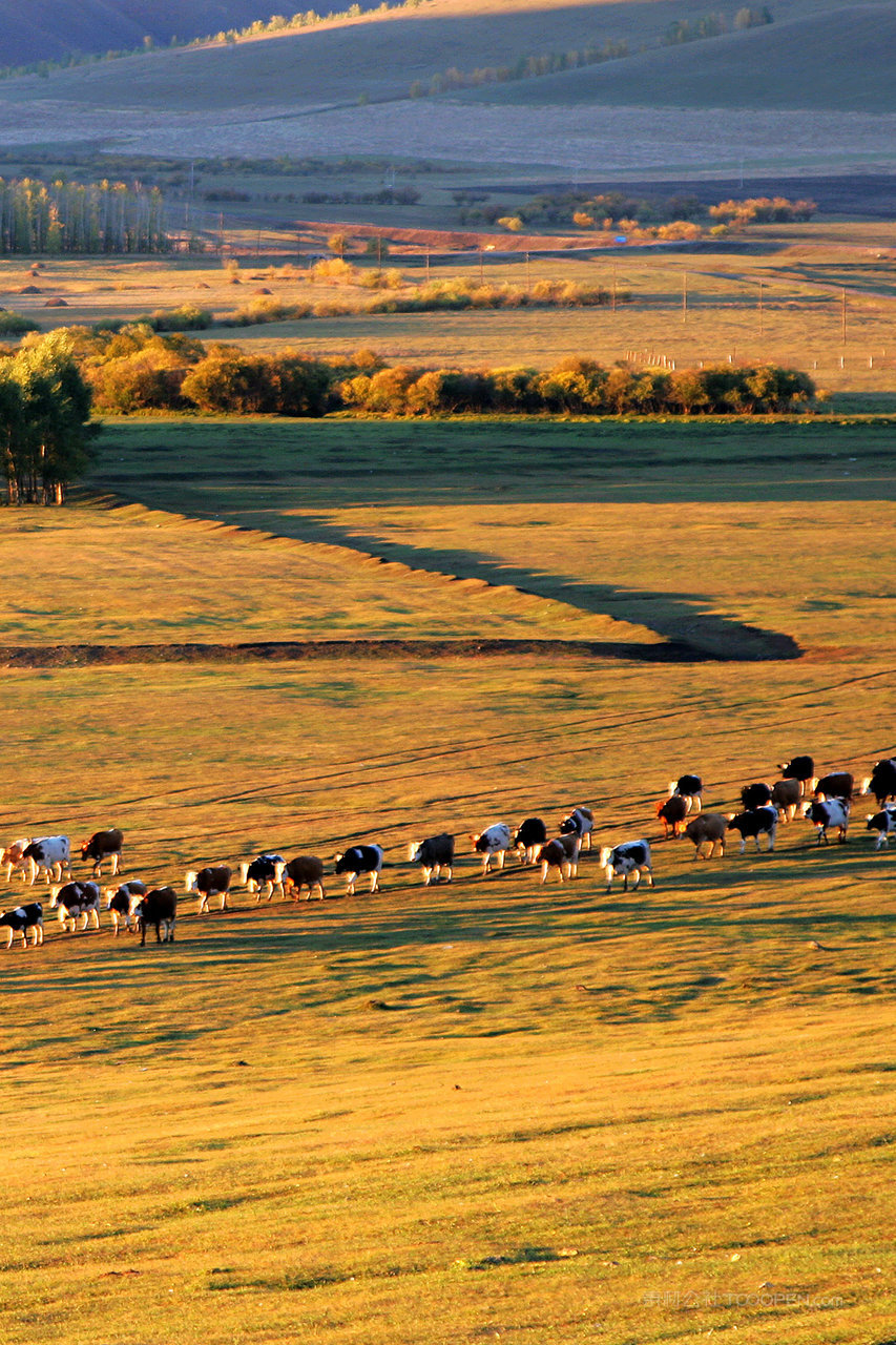 内蒙古呼伦贝尔草原