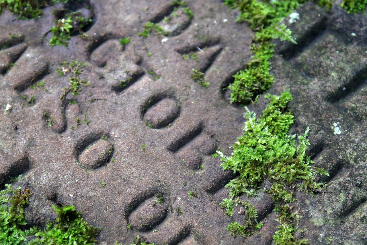 苔藓石头风景画图片