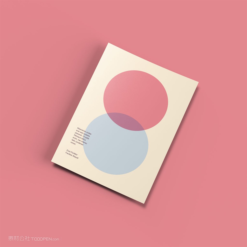 画册书籍贴图样机