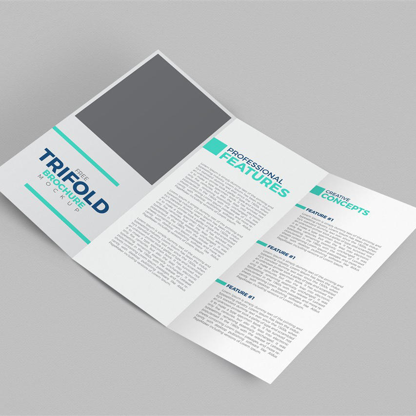 三折小册子样机