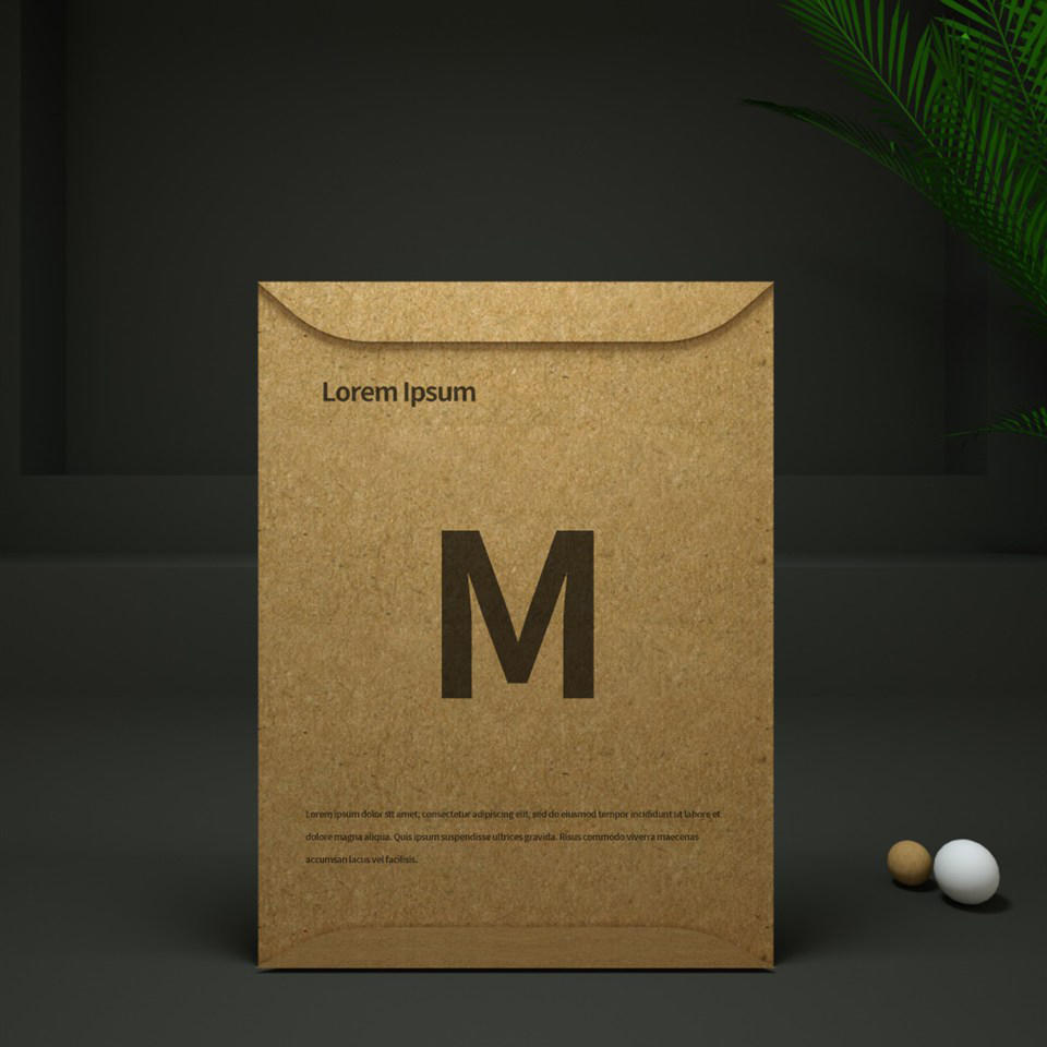 牛皮纸文件袋样机