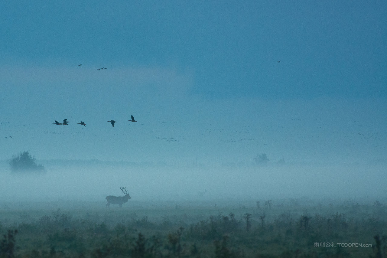 浓雾迷雾风景画