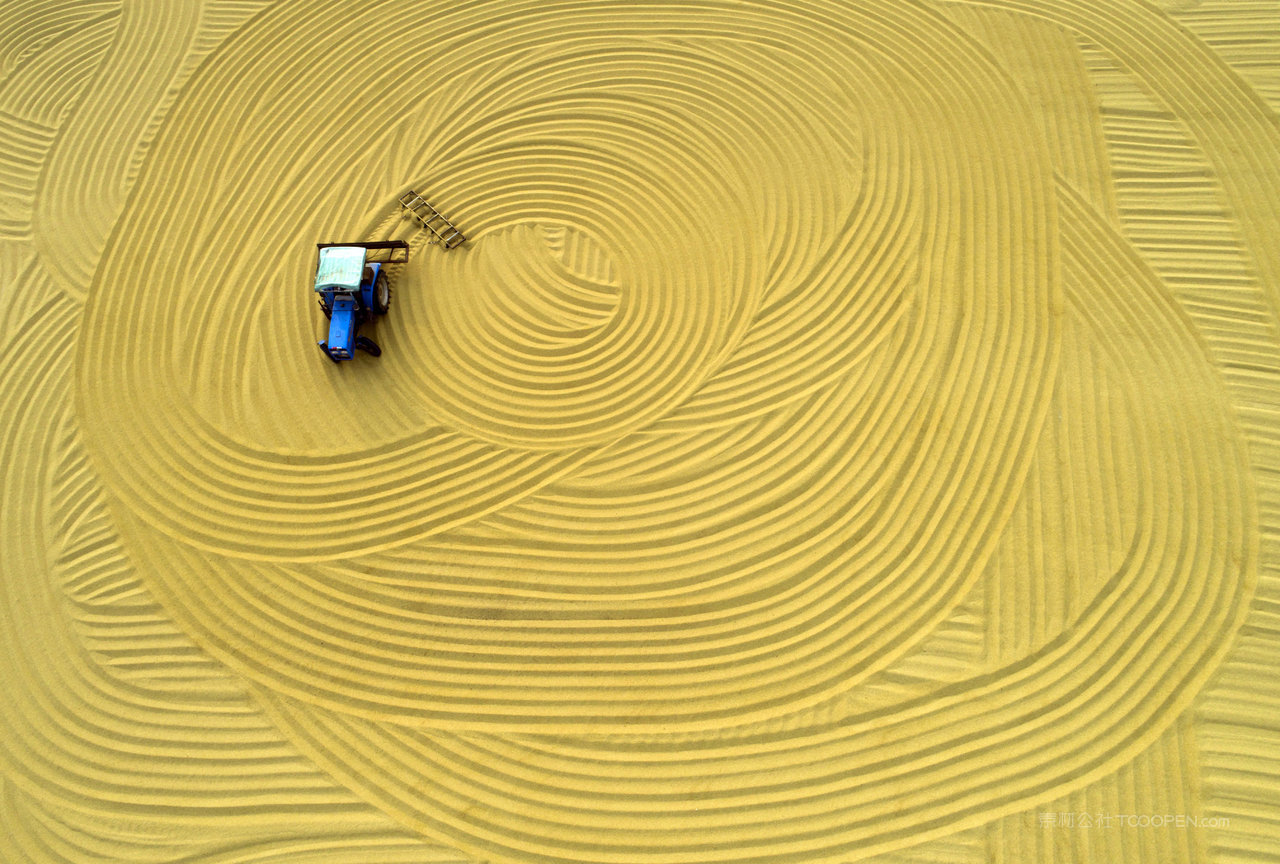 秋收画卷风景画图片