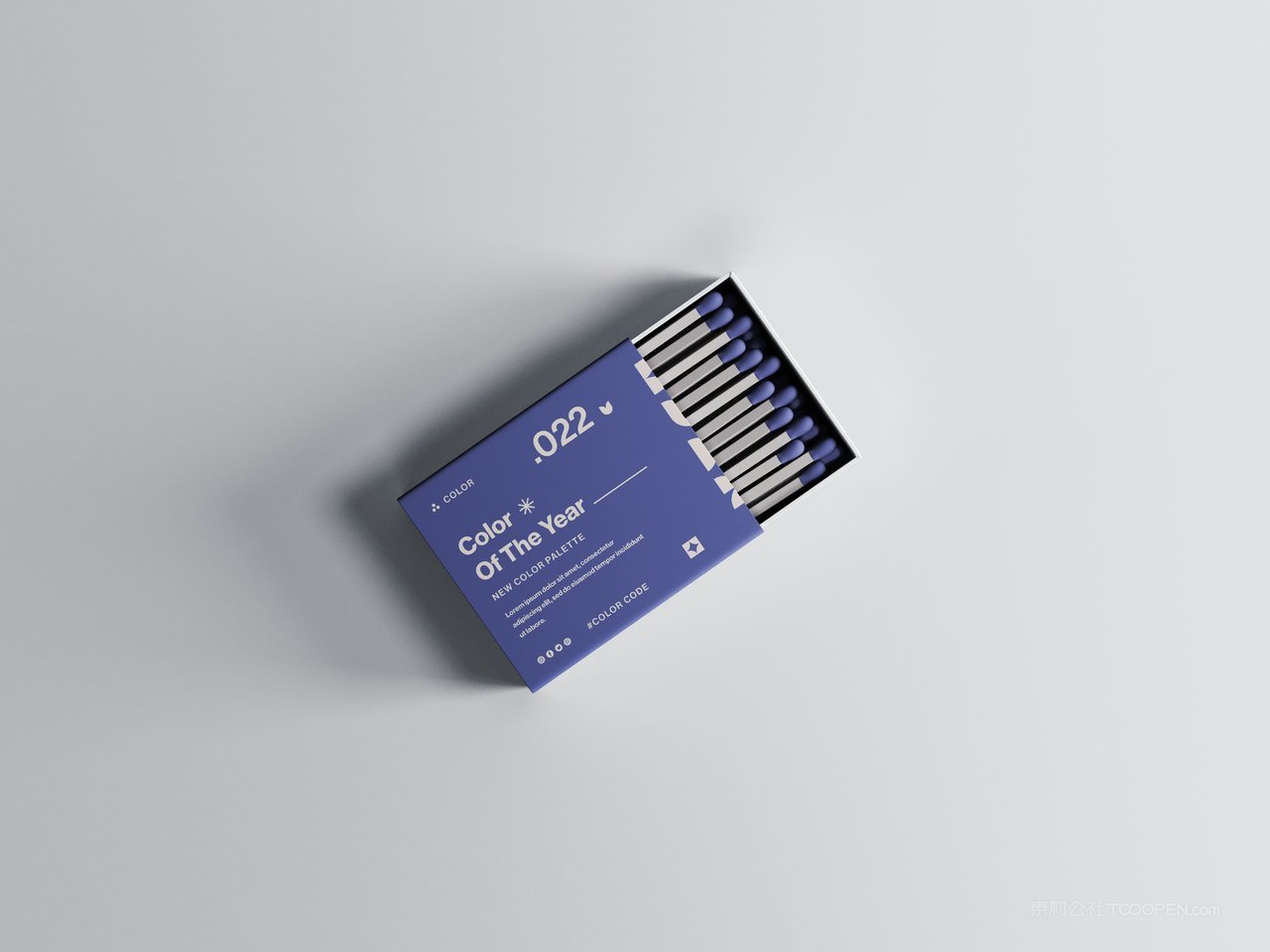 品牌火柴文创企业ps分层智能样机 (77)