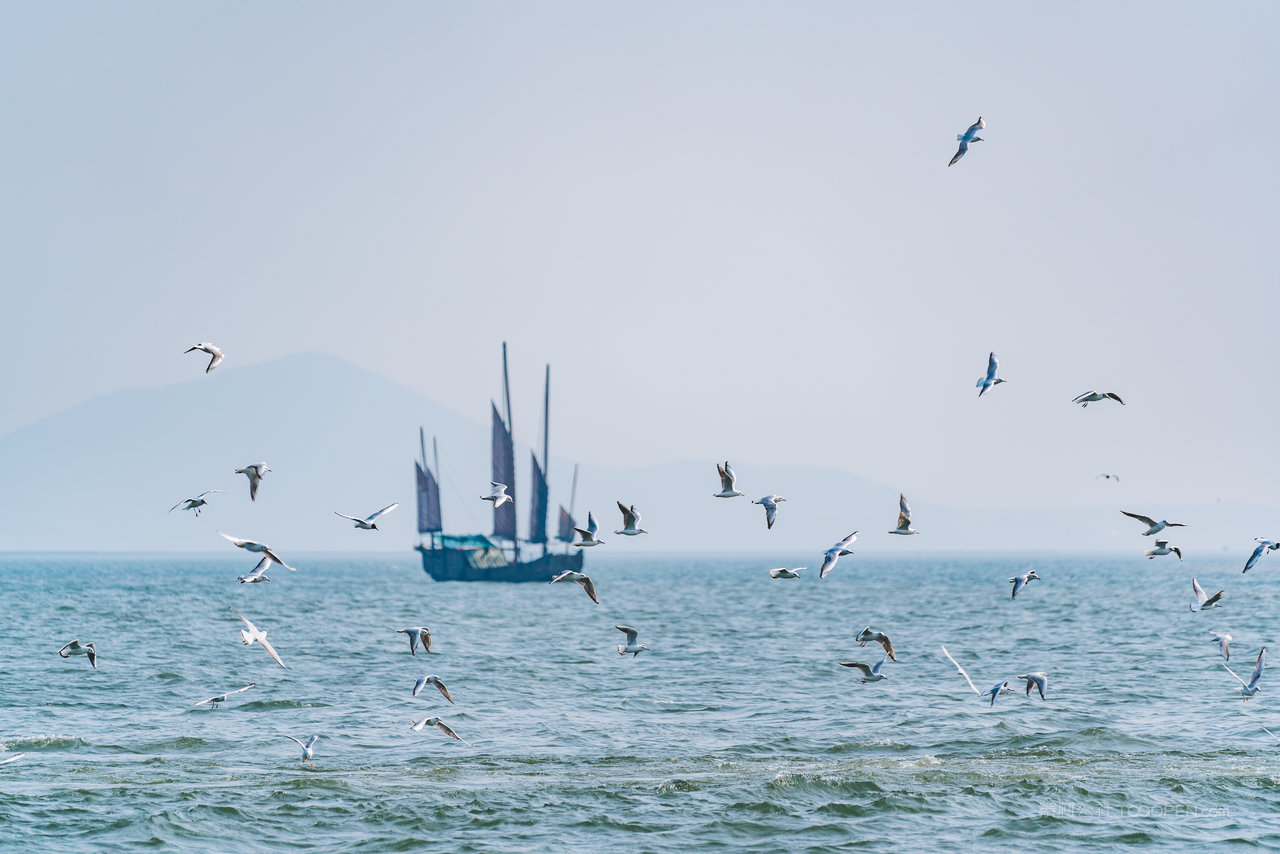 无锡鼋头渚太湖