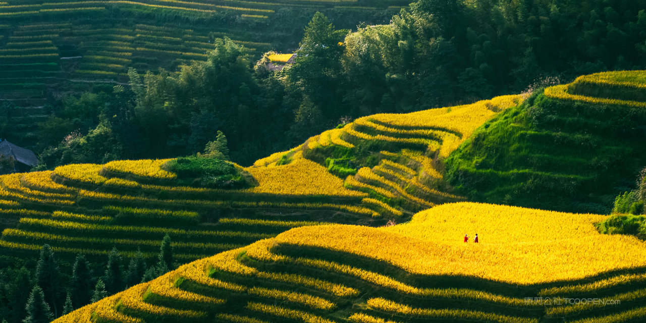 桂林山水风景画图片