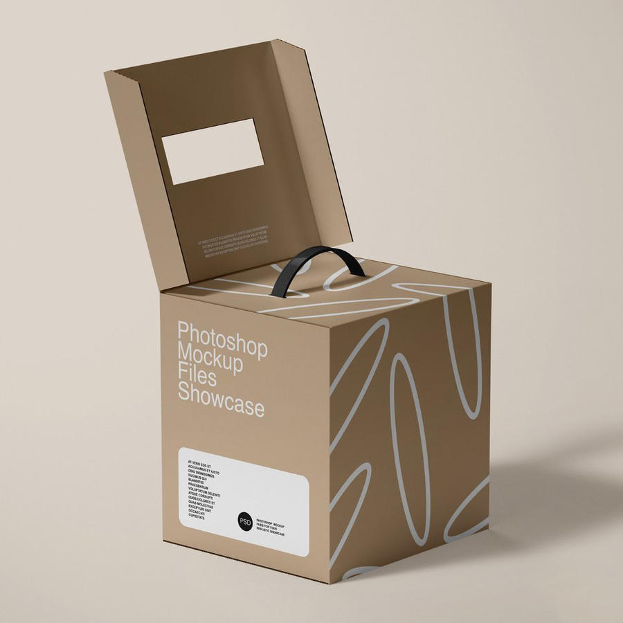 米色正方形纸箱手提箱牛皮纸盒样机 (5)