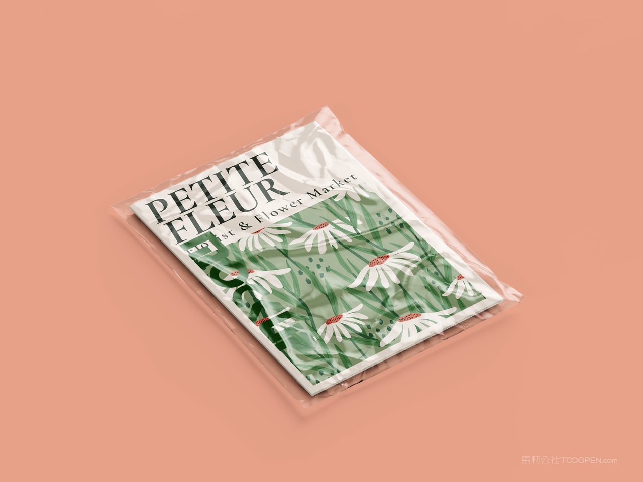 【1272期】清新绿塑料薄膜杂志海报样机 (2)