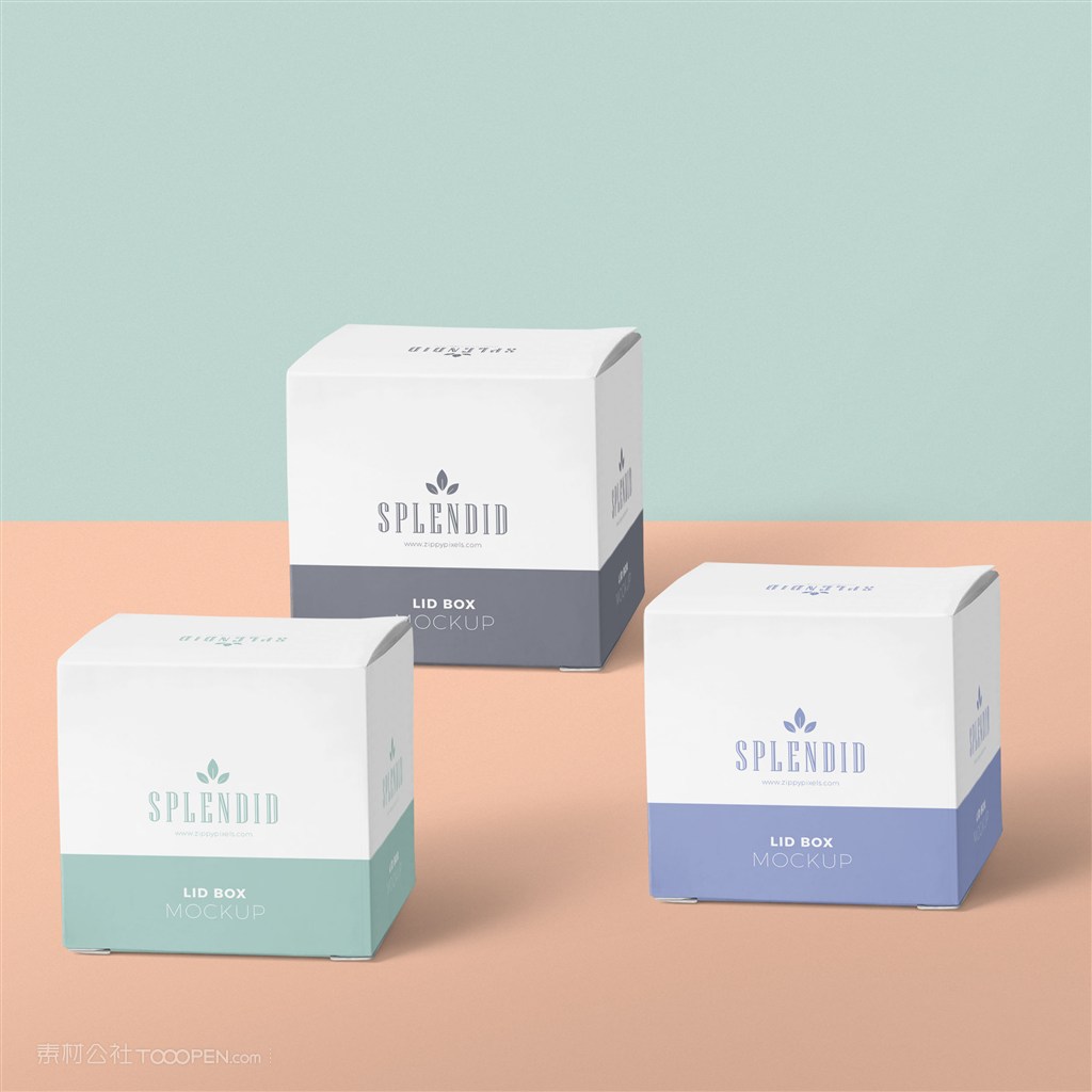 化妆品包装盒样机