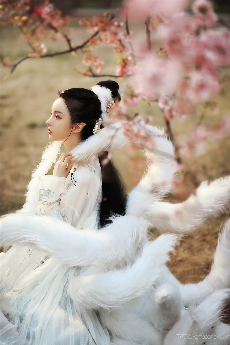 桃花族九尾狐古装美女写真摄影图片