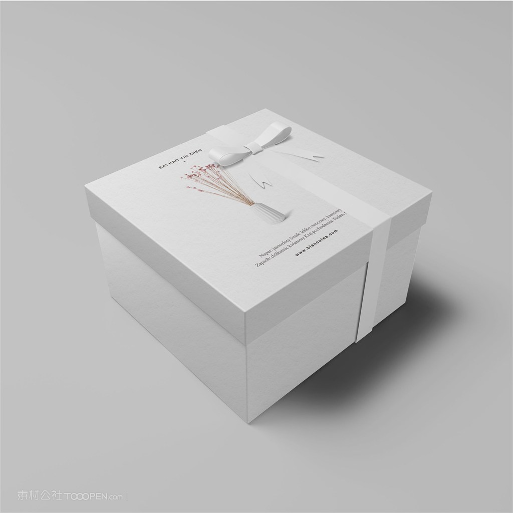 简约包装盒样机