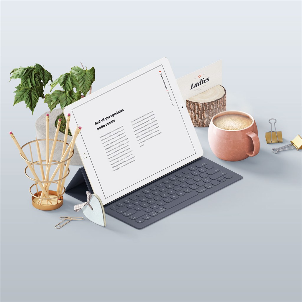 时尚化妆品vi办公用品包装设计