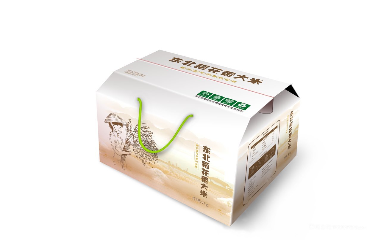 大米包装样机模板 (32)