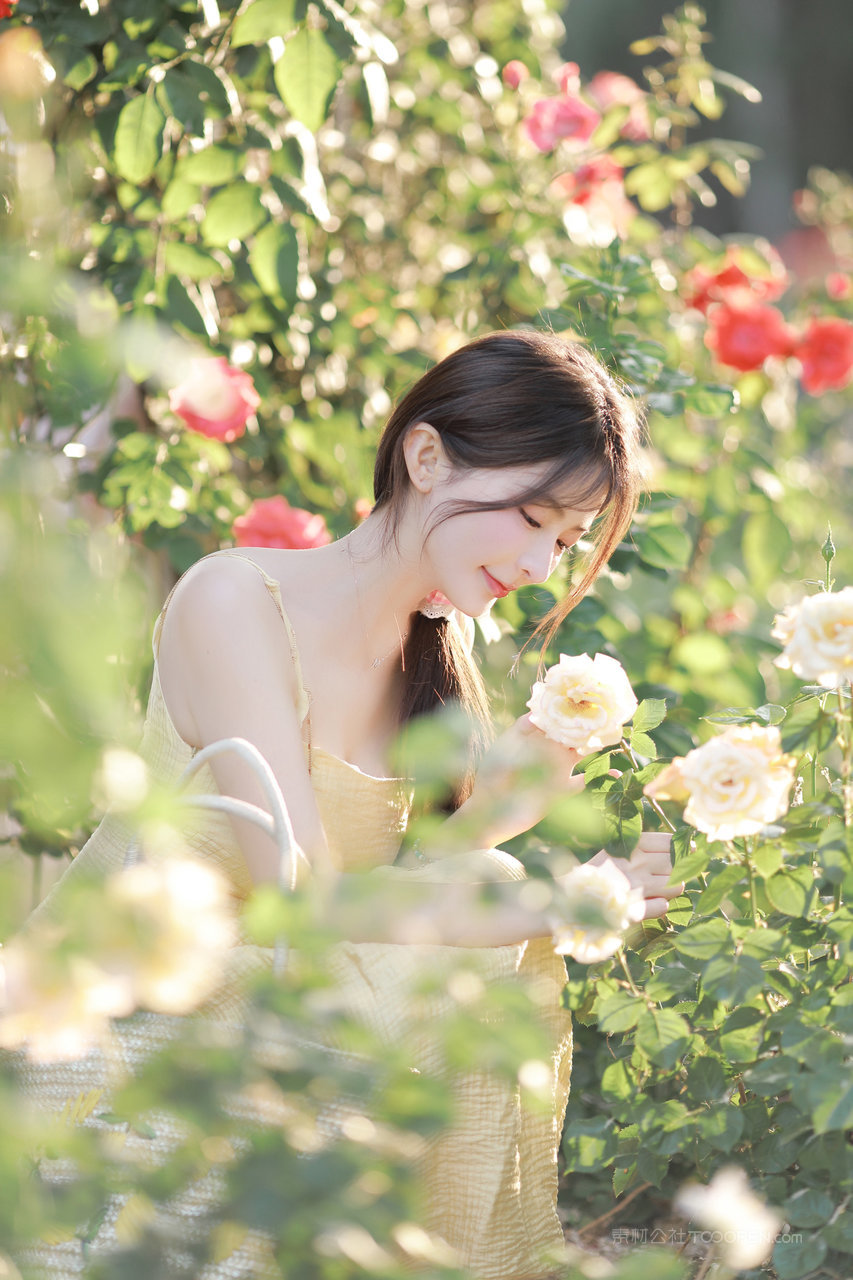 赏花的清纯甜美女生高清手机壁纸大全