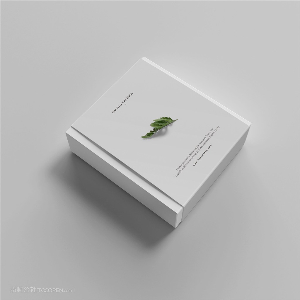 简约包装盒样机