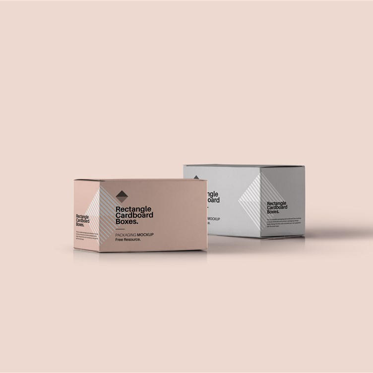 长方形彩盒纸盒包装盒样机