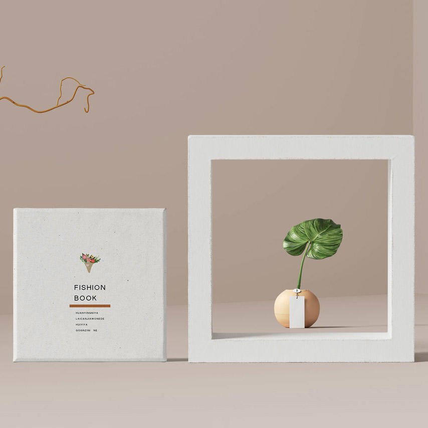 ins风清新大气包装盒盒子封面样机