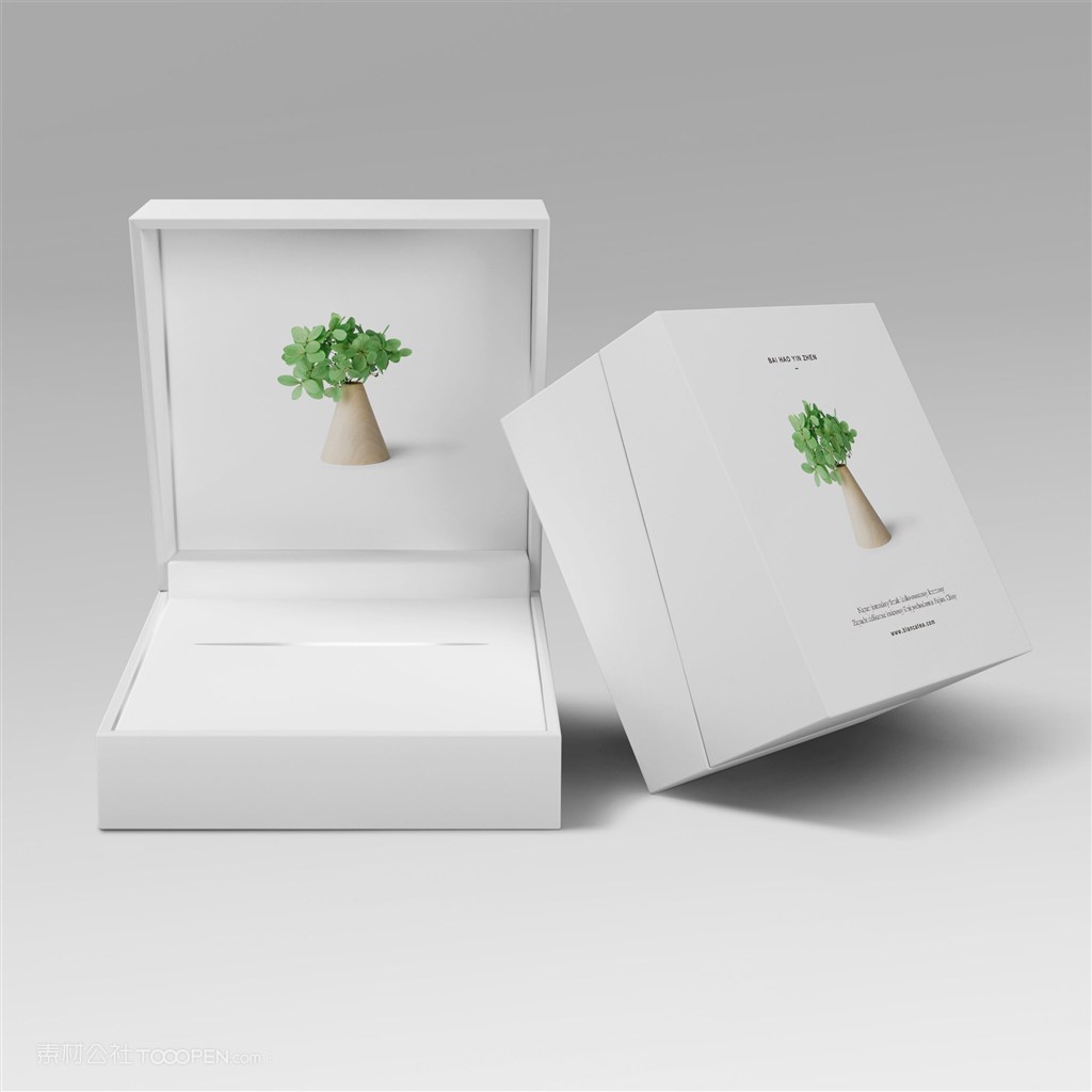 简约包装盒样机