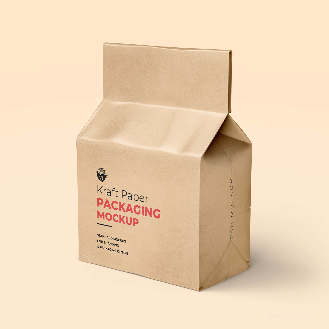 牛皮纸袋食品包装样机