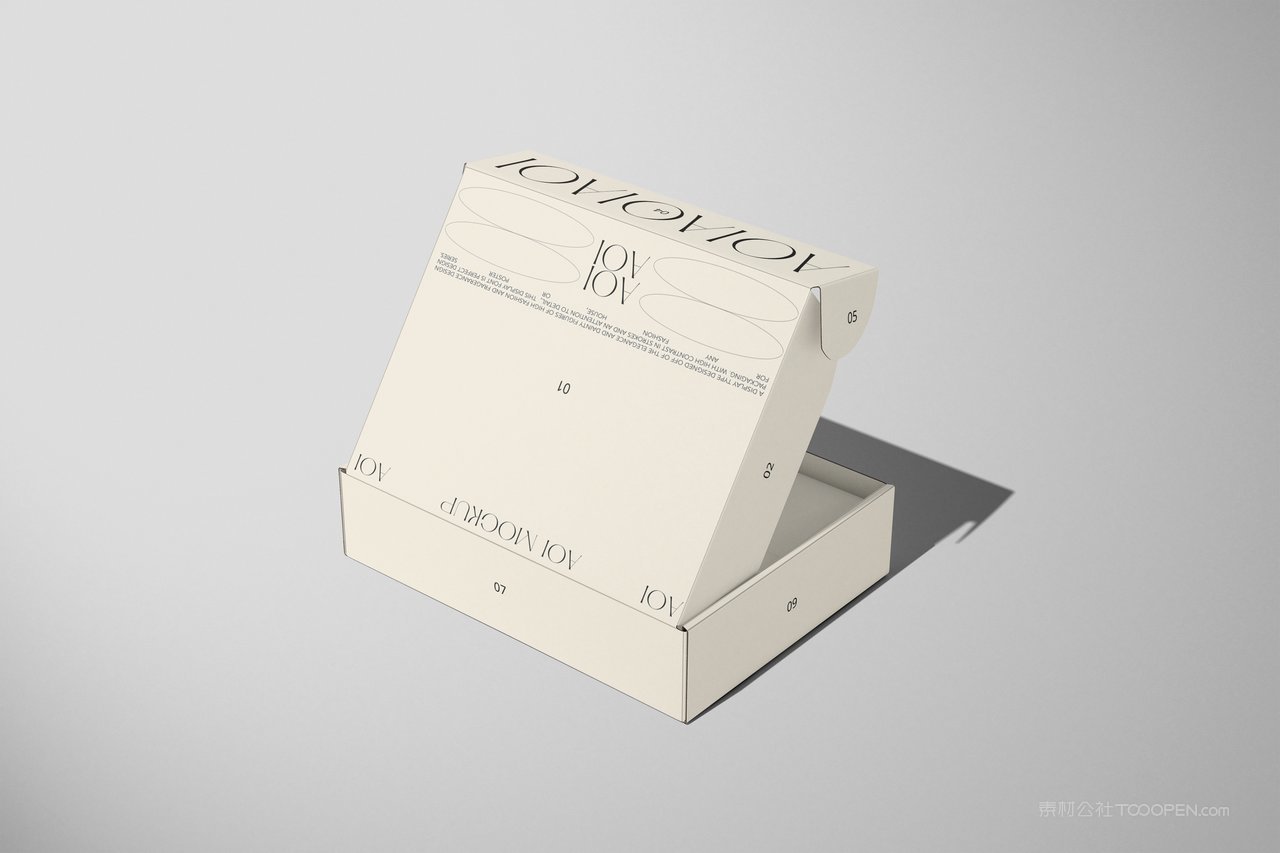 【2194期】英文字母飞机盒包装盒样机  (10)